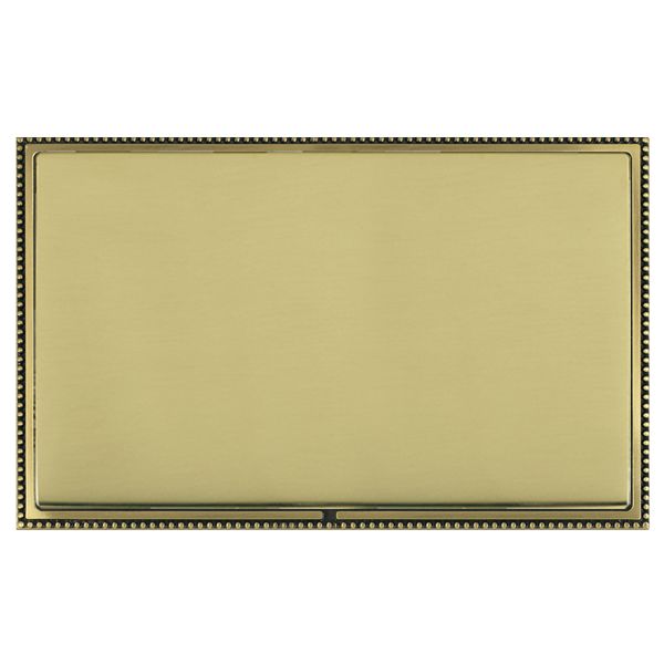 Linea-Perlina CFX Antique Brass Frame/Polished Brass Front Double Blank Plate