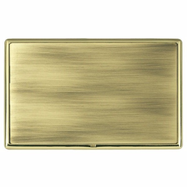 Linea-Rondo CFX Polished Brass Frame/Antique Brass Front Double Blank Plate