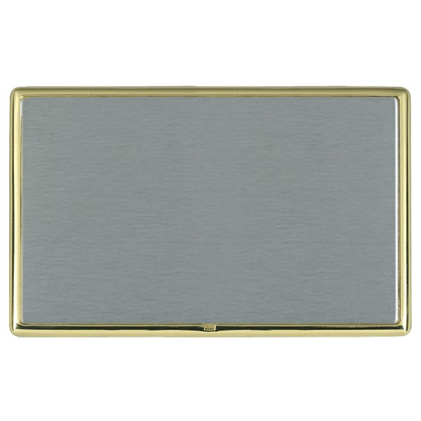 Linea-Rondo CFX Polished Brass Frame/Satin Steel Front Double Blank Plate