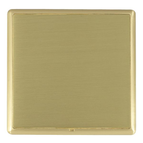 Linea-Rondo CFX Satin Brass Frame/Satin Brass Front Single Blank Plate