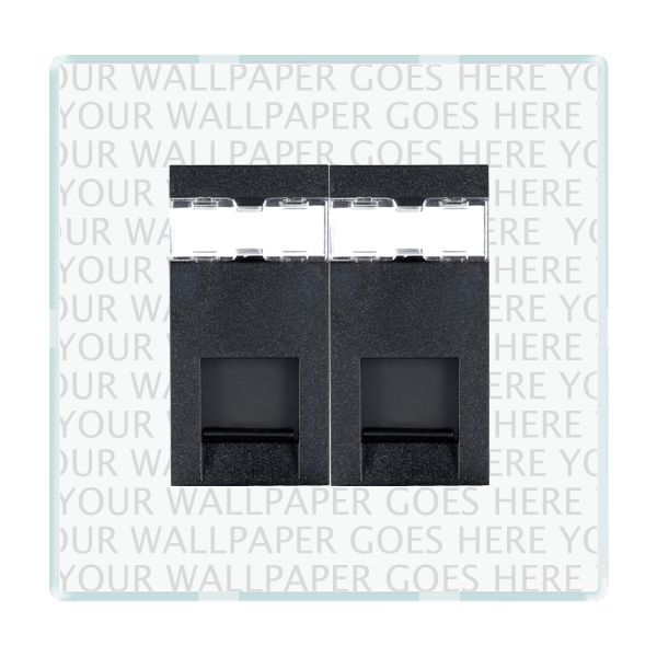 Perception CFX Clear 2 gang RJ12 Outlet – Unshielded Black