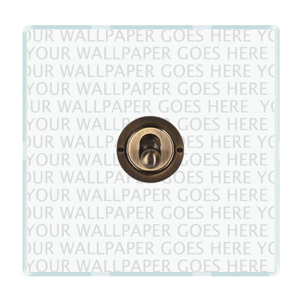 Perception CFX Clear 1 gang 20AX Intermediate Toggle Antique Brass